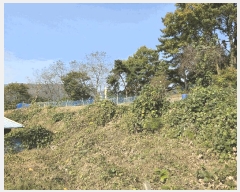  2025Ÿ��12499  �����