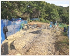  2025Ÿ��12499  �����