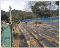  2025Ÿ��12499  �����