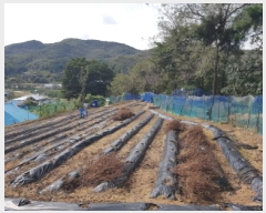  2025Ÿ��12499  �����