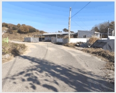  2025Ÿ��12631  â�����