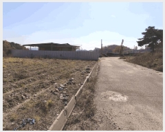  2025Ÿ��12631  â�����