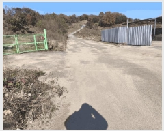  2025Ÿ��12631  â�����