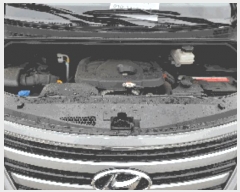  2025Ÿ��12689 õ�Ƚ� ������ ���Ÿ� �찢��� 21      �������