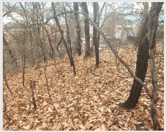  2025Ÿ��12849 �泲 õ�Ƚ� ������ �ȼ��� ��13-14      ����(�Ӿ�)���