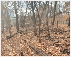  2025Ÿ��12849 �泲 õ�Ƚ� ������ �ȼ��� ��13-14      ����(�Ӿ�)���