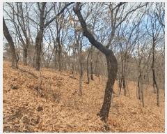  2025Ÿ��12849 �泲 õ�Ƚ� ������ �ȼ��� ��13-14      ����(�Ӿ�)���