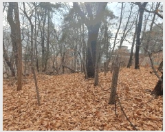  2025Ÿ��12849 �泲 õ�Ƚ� ������ �ȼ��� ��13-14      ����(�Ӿ�)���