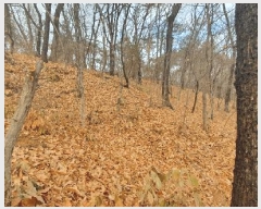  2025Ÿ��12849 �泲 õ�Ƚ� ������ �ȼ��� ��13-14      ����(�Ӿ�)���