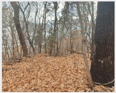  2025Ÿ��12849 �泲 õ�Ƚ� ������ �ȼ��� ��13-14      ����(�Ӿ�)���