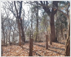  2025Ÿ��12849 �泲 õ�Ƚ� ������ �ȼ��� ��13-14      ����(�Ӿ�)���