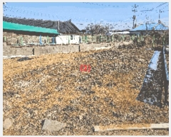  2025Ÿ357 泲 ƻ  ų 307-2      ()