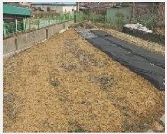  2025Ÿ357 泲 ƻ  ų 307-2      ()