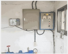  2025Ÿ��369  ���(ķ����)���