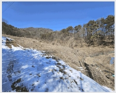  2025Ÿ376 泲 õȽ  õ ׸ 323     (1)