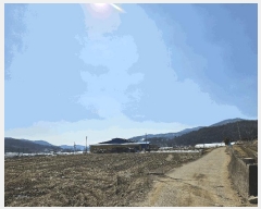  2025Ÿ376 泲 õȽ  õ ׸ 323     (1)