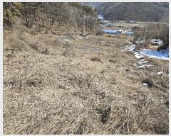  2025Ÿ376 泲 õȽ  õ ׸ 323     (1)