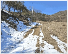  2025Ÿ376 泲 õȽ  õ ׸ 323     (1)