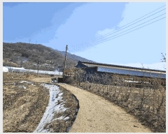  2025Ÿ376 泲 õȽ  õ ׸ 323     (1)