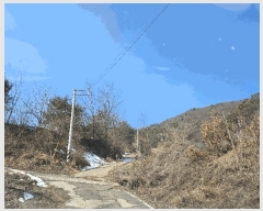  2025Ÿ376 泲 õȽ  õ ׸ 323     (1)