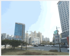  2025Ÿ421 泲 õȽ ϱ ֿ뵿 210-21 õȶ󸶴پڸȣ 2208ȣ    ,繫ǰ