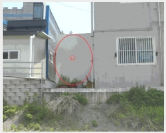  2025Ÿ��484  �ٸ����ð��