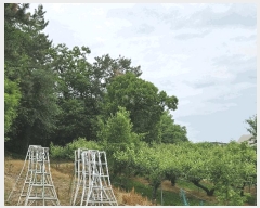  2025Ÿ��492 �泲 õ�Ƚ� ���ϱ� ������ ������ ��5-1     ����(�Ӿ�)���