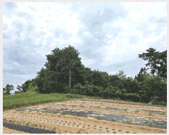  2025Ÿ��492 �泲 õ�Ƚ� ���ϱ� ������ ������ ��5-1     ����(�Ӿ�)���