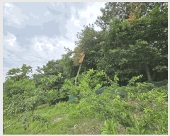  2025Ÿ��492 �泲 õ�Ƚ� ���ϱ� ������ ������ ��5-1     ����(�Ӿ�)���