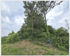  2025Ÿ��492 �泲 õ�Ƚ� ���ϱ� ������ ������ ��5-1     ����(�Ӿ�)���