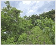  2025Ÿ��492 �泲 õ�Ƚ� ���ϱ� ������ ������ ��5-1     ����(�Ӿ�)���