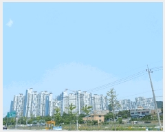  2025Ÿ��504  ����Ʈ���