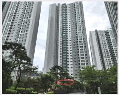  2025Ÿ��528  ����Ʈ���