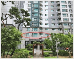  2025Ÿ��528  ����Ʈ���