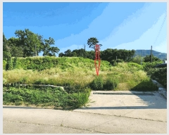 2025Ÿ��554 �泲 �ƻ�� ��굿 219-3       ����(����)���