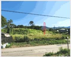  2025Ÿ��554 �泲 �ƻ�� ��굿 219-3       ����(����)���