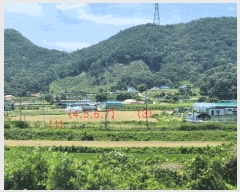  2025Ÿ��563 �泲 �ƻ�� ������ ������ 18      ����(��)���