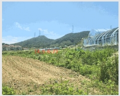  2025Ÿ��563 �泲 �ƻ�� ������ ������ 18      ����(��)���