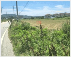  2025Ÿ��563 �泲 �ƻ�� ������ ������ 18      ����(��)���