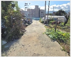  2025Ÿ��652  �����