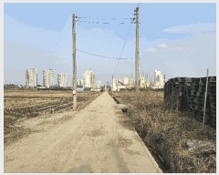  2025Ÿ11293 泲 õȽ ϱ   214-4     ()