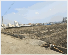  2025Ÿ11293 泲 õȽ ϱ   214-4     ()