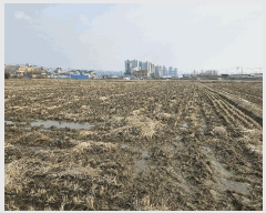  2025Ÿ11293 泲 õȽ ϱ   214-4     ()