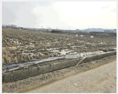  2025Ÿ11293 泲 õȽ ϱ   214-4     ()