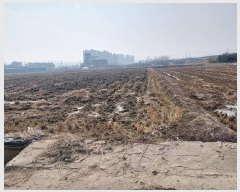  2025Ÿ11293 泲 õȽ ϱ   214-4     ()