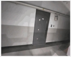  2025Ÿ11352 泲 õȽ ϱ  1475 𿡽 7703ȣ    Ȱð