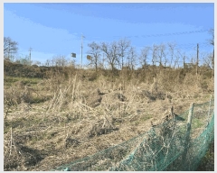  2025Ÿ��11383  ���������