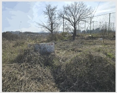  2025Ÿ��11383  ���������