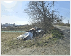  2025Ÿ��11383  ���������