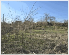  2025Ÿ��11383  ���������